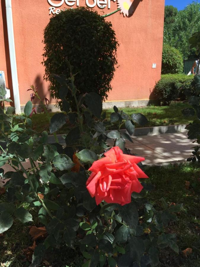 Gerber Residence 1 Słoneczny Brzeg Zewnętrze zdjęcie
